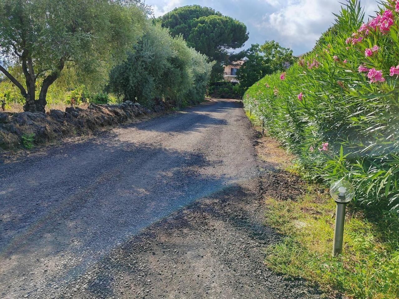 Villa Persea Santa Venerina Eksteriør billede