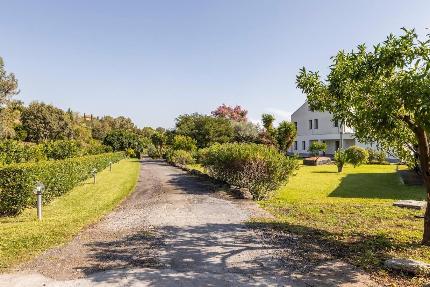 Villa Persea Santa Venerina Eksteriør billede